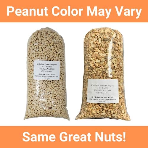 Wakefield Virginia Peanuts Animal Grade Raw Wildlife Peanuts, 10 LBS