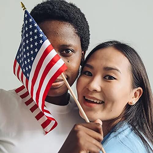 12 Pack 8x12 Inch American Flags on Stick, American Flags for Outside, USA Stick Flag with Handheld and Grounded Multi-Purpose Flagpole, Memorial Day, 4th of July Decorations, Veterans Day, Patriotic Decorations