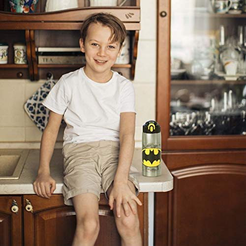 Zak Designs 18/8 Stainless Steel Kids Water Bottle with Flip-up Straw Locking Spout Cover, Durable Cup for Sports or Travel (15.5oz, Paw Patrol Skye),PWPT-S732