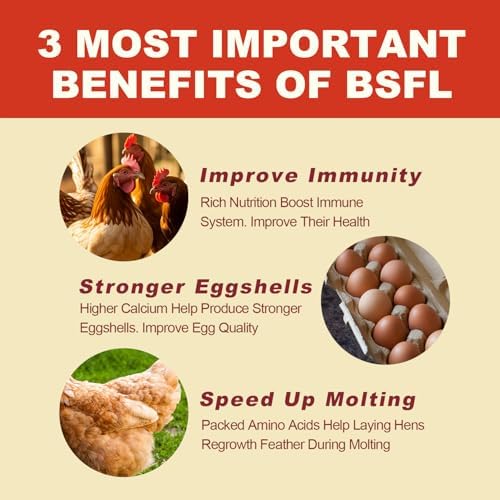 10LB Dried Black Solider Fly Larvae, BSFL is High Protein Chicken Feed with 85x More Calcium Than Dried Mealworms, Poultry Treats, Chickens Love, Birds Love, Hens Love, Ducks Love