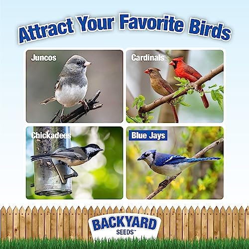 CountryMax Backyard Seeds Black Oil Sunflower for Wild Birds (50 Pounds)