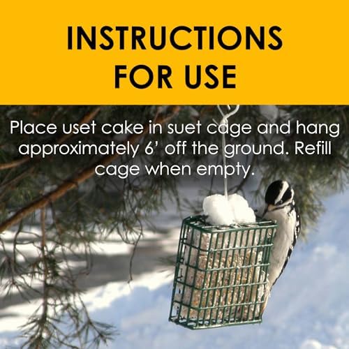Heath DD4SS: 11-Ounce Bird's Blend High Energy Suet Cake - 12-Pack Case