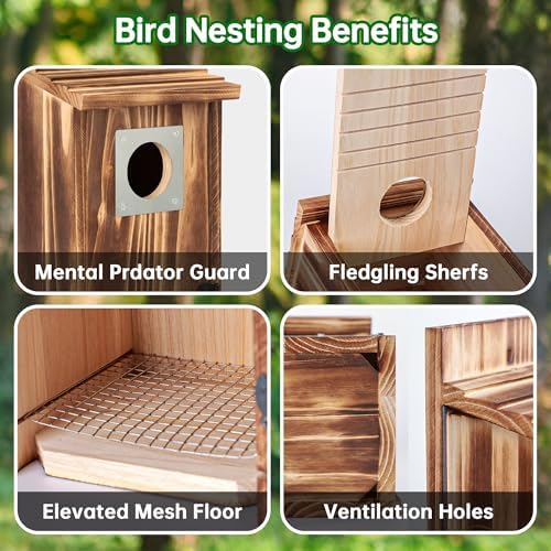 2 Pack Bird Houses for Outside with Metal Predator Guard for Bluebird Wren Swallow Finch, Carbonized Wooden Nesting Boxes for Outdoor, Sturdy Bird House,Easy to Clean