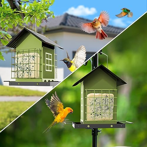 Bird Feeders for Outdoors Hanging, Metal Bird Feeder with Double Suet Cage Cake, Large Capacity, Birdfeeders Sturdy & Weatherproof, Easy to Clean & Refill, Great for Attracting Wild Birds