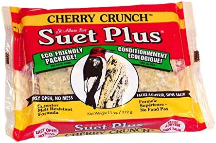 Suet Plus Cherry Crunch Suet 12 Pack