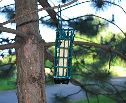 Suet Plus Suet Cakes 12 Pack of 11 oz Bird Suet Cakes (Blueberry Twist)