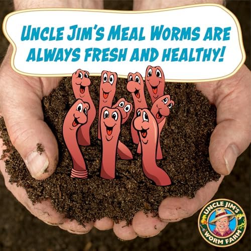 Uncle Jim's Worm Farm 3000 Count Mealworms for Reptiles and Chickens | Mealworms for Feeding Lizard, Gecko, Bearded Dragons, Chickens, Birds, and More | Suitable for Fishing Bait