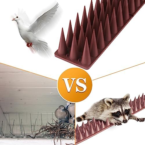 Bird Spikes, 20 Pack Pigeon Deterrent for Small Birds Raccoon Cats Defender for Outside to Keep Squirrel Away, Plastic Fence Spike for Railing and Roof-Brown