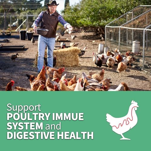 High Calcium, Non-GMO, 10LB Dried Black Soldier Fly Larvae for Chickens, 60-100X More Calcium Than Mealworms,Treat for Laying Hen, Ducks, Wild Birds,Turtles