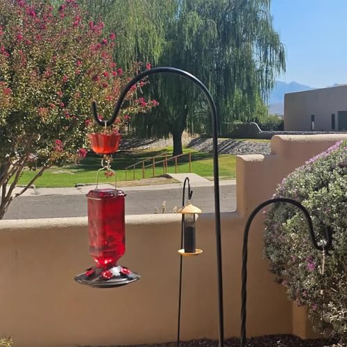 Glass Hummingbird Feeder Hanging Hummingbird Feeders for Outdoors Leak Proof Base Feeder with Ant Moat Bee Proof 6 Feeding Ports for Outside Garden Decor Backyard Gifts for Women Mom (Purple)