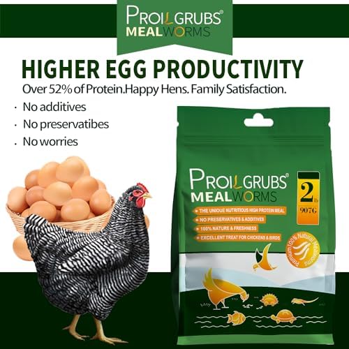 PROILGRUBS 2 LBS Dried Mealworms Super High Protein Nutritious Feed for Birds &Chickens - Organic Meal Worms for Laying Hens,Duck,Fish,Turtle,Reptil…