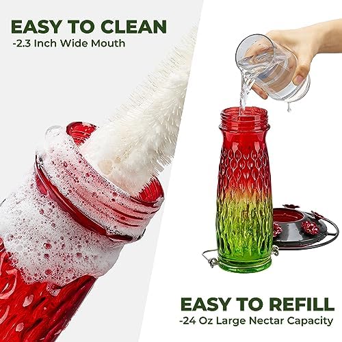 Kingsyard Hummingbird Feeders for Outdoors Hanging, 24 Ounce, Glass Hummingbird Feeder with Ant Moat & 6 Bee Guard Feeding Ports, Leak-Proof, Green & Red