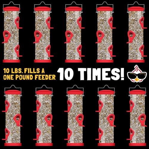 Hearts on Fire Hot Bird Seed – 10 lb. 100% Hulled Sunflower Hearts with Chili Pepper Oil – No Waste Bird Seed for Outside Feeders