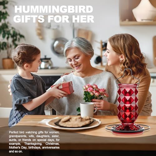 2 Pack Glass Hummingbird Feeders for Outdoors, 25 Ounces Wild Bird Nectar Feeder with Perch & 5 Flower Feeding Ports Leak Proof Hanging for Garden Backyard Decor, Gifts for Women Mom, Red