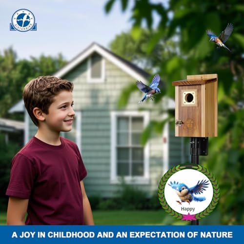 Pack of 2 Bluebird Houses for Outside, Premium Wooden Bird Houses for Outdoor, Weatherproof Blue Bird House, Bluebird Swallow Chickadee Wren, Assembly Required