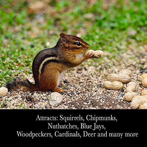 Desert Valley in Shell Peanuts, All Natural Premium Wild Bird and Wildlife Food for Squirrels, Chipmunks, Cardinals, Jays, Woodpeckers and More (10 Pounds)