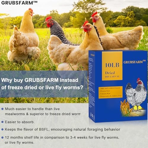 Premium Chicken Treats 10LB - Superior to Dried Mealworms - Non-GMO & 85X More Calcium Than Meal Worms - Molting & Laying Supplement - BSF Larvae Treats for Layer Hens, Ducks Wild Birds