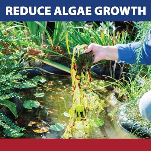 The Pond Guy InstaFix Algae Control, Outdoor Water Garden, Fountain & Birdbath Algae Solution, EPA Registered Liquid Algaecide, Control Green Water & String Algae, Bird, Fish & Pet Safe, 32 Ounces