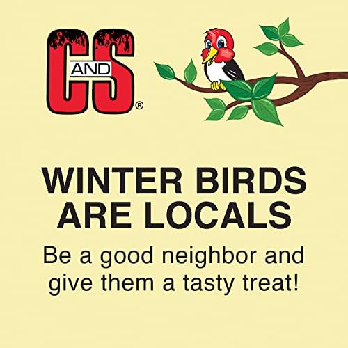 C&S Cranberry Delight No Melt Suet, 11.75 Ounce (Pack of 12)