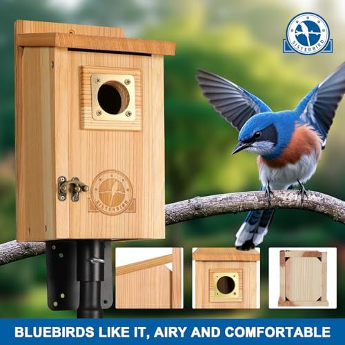 2 Pack Bird Houses for Outside Clearance with Copper Guard, Cedar Bird House Outdoor, Bluebird Finch Swallow Wren Chickadee Assembly Required