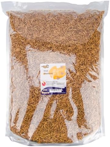 RANZ 10LBS Non-GMO Dried Mealworms for Chickens, High Protein Meal Worms, Premium Chicken Feed, Perfect Bird Food and Chicken Treats, Whole Large Mealworms for Wild Birds, Ducks, Fish