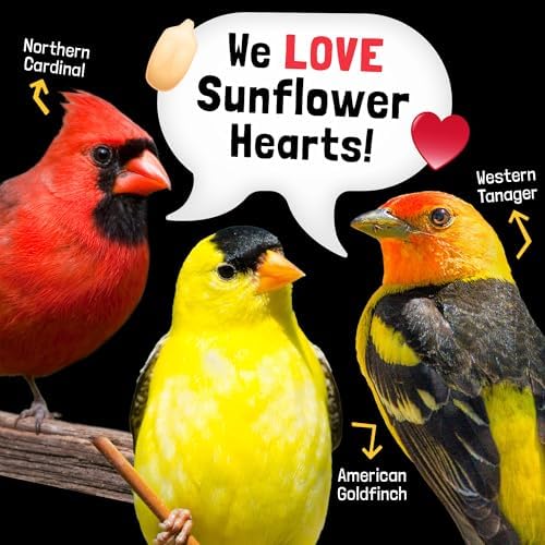 Hearts on Fire Hot Bird Seed – 10 lb. 100% Hulled Sunflower Hearts with Chili Pepper Oil – No Waste Bird Seed for Outside Feeders
