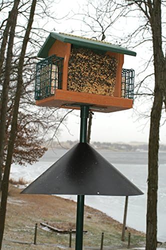Woodlink Squirrel-Proof Bird Feeder w/6 Ports, 3.4-Pound Seed Capacity, Free Funnel & Audubon Squirrel Baffle, 18-Inch - Black