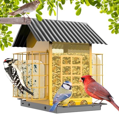 Bird Feeders for Outdoors Hanging, Metal Bird Feeder with Double Suet Cage Cake, Large Capacity, Birdfeeders Sturdy & Weatherproof, Easy to Clean & Refill, Great for Attracting Wild Birds
