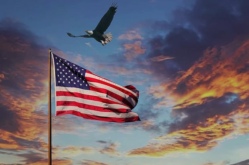 American Flag 3x5ft Long Lasting for Outside, Heavy Duty Nylon, Embroidered Stars, Brass Grommets, Perfect for Outdoor US Flags Show Your Patriotism