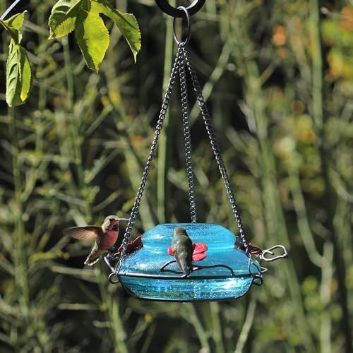 Nature's Way Bird Products GHF9 Hand Blown Garden Top Fill Hummingbird Feeder, 16 oz Capacity, Blue (066580)