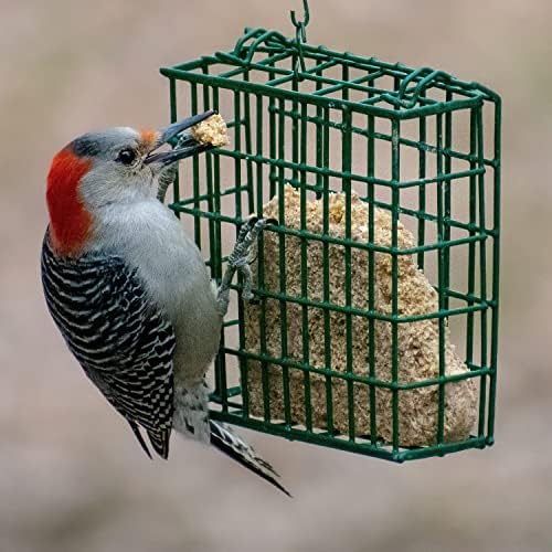 C&S Oriole Delight No Melt Suet Dough 11.75 Ounces, 12 Pack