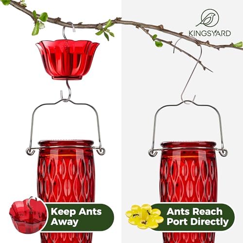 Kingsyard 2 Pack Glass Hummingbird Feeders for Outdoors Hanging, Wild Bird Nectar Feeder with 6 Feeding Ports, 24 oz Leak-Proof, Red (Ant Moat Included)