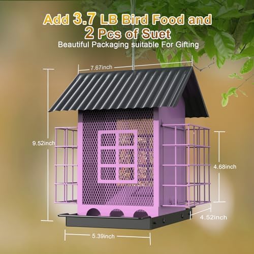 Bird Feeders for Outdoors Hanging, Metal Bird Feeder with Double Suet Cage Cake, Large Capacity, Birdfeeders Sturdy & Weatherproof, Easy to Clean & Refill, Great for Attracting Wild Birds