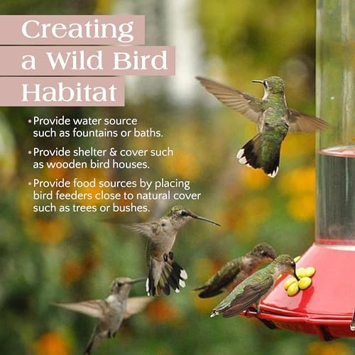 USDA Organic Hummingbird Nectar, Iron-Free, 12 x 8oz Concentrate Pouches, All-Natural, Dye-Free Nectar for Backyard Feeders, Bulk Hummingbird Food Mix for Outdoor Bird Lovers