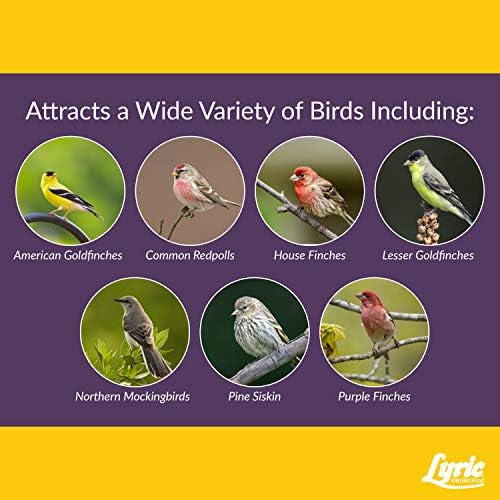 Lyric Finch - Small Songbird Wild Bird Seed - Attracts Goldfinches, House Finches, Purple Finches & More - 5 lb. Bag (Pack of 2)