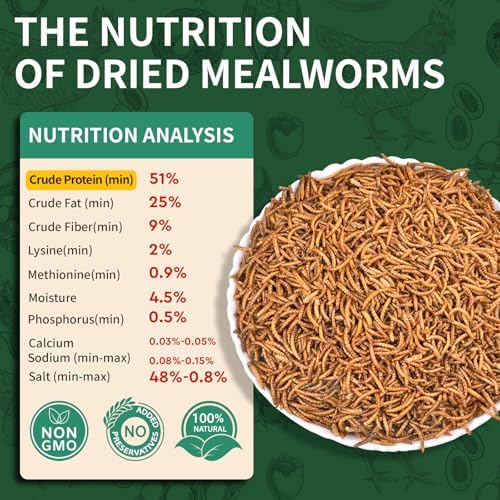 10LB Dried Mealworms, 100% Natural, Non-GMO Meal Worms, Dried for Chickens, Wild Birds, Reptile, Hamster, Hedgehog, Pigeon
