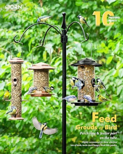iBorn Metal Bird Feeder for Outside Hanging,Wild Bird Feeders for Cardinal,18cm Large Roof&Tray Black 10 Port(Seed is not Included)