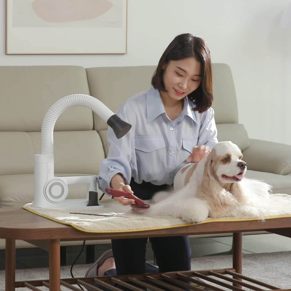 DUZ V3 Professional Quality Pet Dryer: 2-in-1 Portable & Hands-Free Grooming, Low-Noise & Stress-Free Drying, Multi Speed & Temperature, Comfortable for All Dogs and Cats