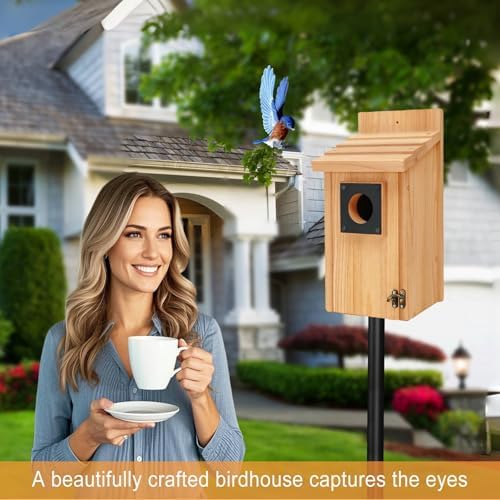 2 Pack Wood Bird Houses for Outside with Paint Set for Bluebird Finch Swallow Wren Chickadee, Crafts & DIY Birdhouse Kits for Adults & Kids to Build