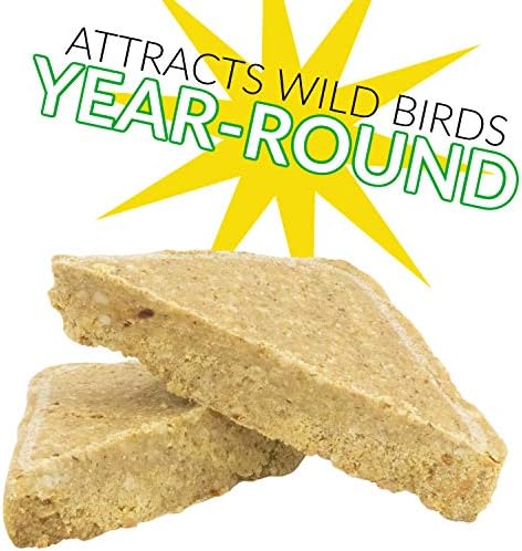 C&S Berry Delight No Melt Suet Dough 11.75 Ounces, 12 Pack