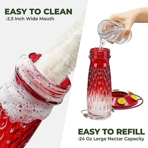 Kingsyard 2 Pack Glass Hummingbird Feeders for Outdoors Hanging, Wild Bird Nectar Feeder with 6 Feeding Ports, 24 oz Leak-Proof, Red Gradient (Ant Moat Included)