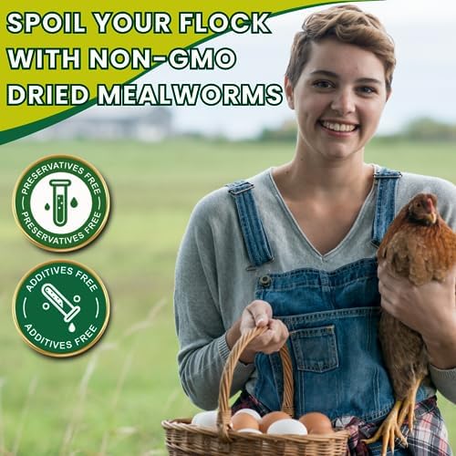 Dried Mealworms 100% Non-GMO 10 Lb - Mealworms for Birds, Chickens, Ducks - Perfect High-Protein Treats - Whole Large Meal Worms, Dried for Chickens and Bluebird Food Bulk