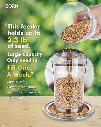 iBorn Metal Bird Feeders for Outdoors,Easy Clean Bird Seed Feeder,Hanging Bird Feeder for Seeds with Gift Box,3-Second Refill Bird Feeder,Nickle 6 Port (Seed is not Included)
