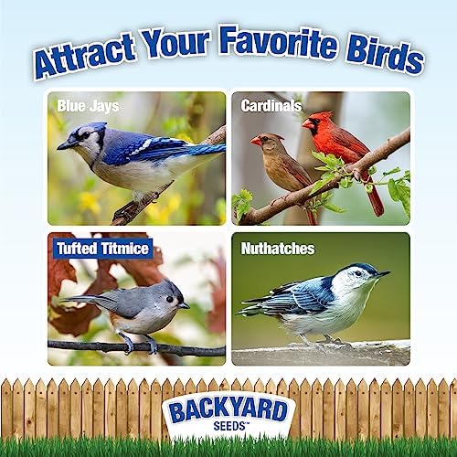 Sunflower Coarse Kernels Hearts No Waste No Mess Bird Seed (50 Pounds)