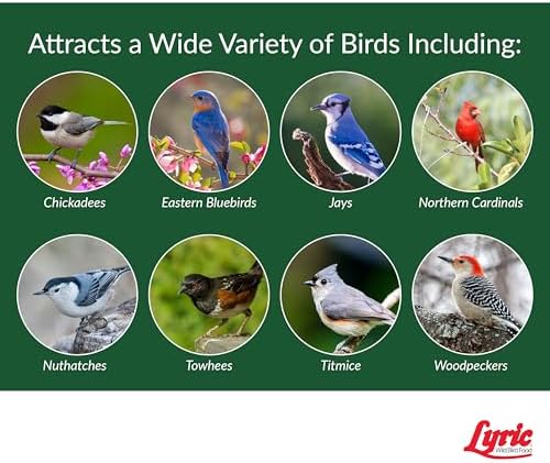 Lyric Peanut Pieces Wild Bird Seed - No Waste Bird Food - Attracts Titmice, Woodpeckers, Chickadees & More - 15 lb bag