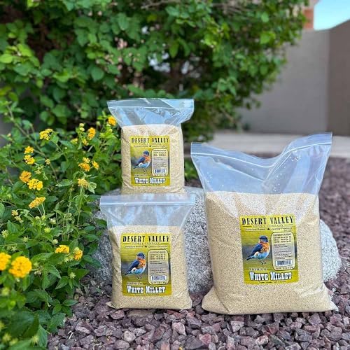 Desert Valley White Millet Seed, All Natural, Non-GMO Premium Wild Bird Food for Cardinals, Finch, Song Birds, Buntings and More (10 Pounds)