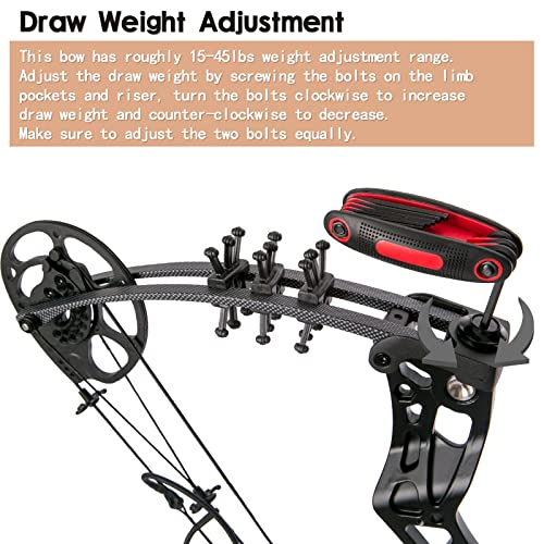 WUXLISTY Youth Compound Bow Set 15-45 Lbs for Teens and Beginner, Package with Archery Hunting Equipment, 5 Pin Sight, Max Speed 320fps, Adjustable, Right Hand, Black