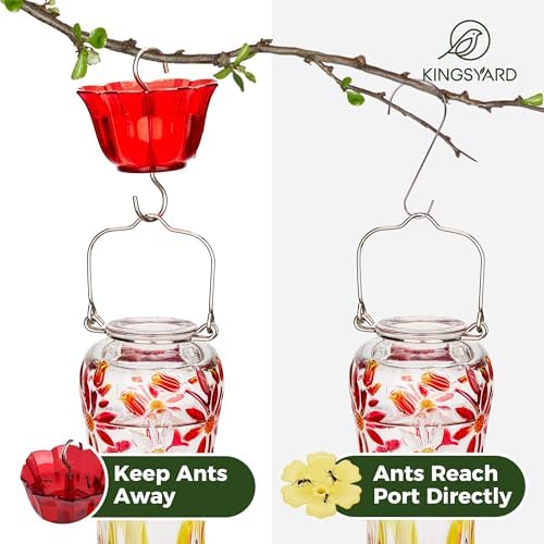 Kingsyard Hummingbird Feeder for Outdoors Hanging, 25 Ounces, Glass Humming Bird Nectar Feeder with Ant Moat & 6 Feeding Ports, Leak Proof, Red