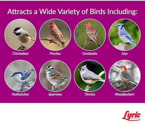 Lyric Sunflower Kernels Wild Bird Seed No Waste Bird Food Attracts Finches & More 5 lb. bag