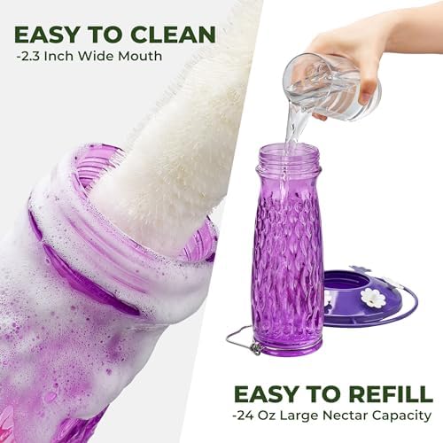 Kingsyard 2 Pack Glass Hummingbird Feeders for Outdoors Hanging, Wild Bird Nectar Feeder with 6 Feeding Ports, 24 oz Leak-Proof, Purple (Ant Moat Included)